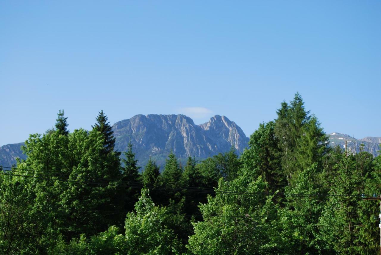 Willa Pod Bandera ซาโกปาเน ภายนอก รูปภาพ